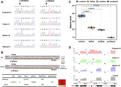 Novel Biallelic Variant in the BRAT1 Gene Caused Nonprogressive Cerebellar Ataxia Syndrome